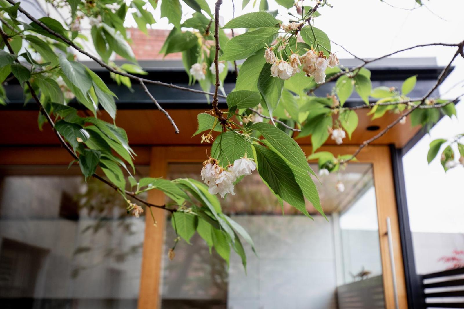 Inner-city Sanctuary With Off-street Parking Holiday home