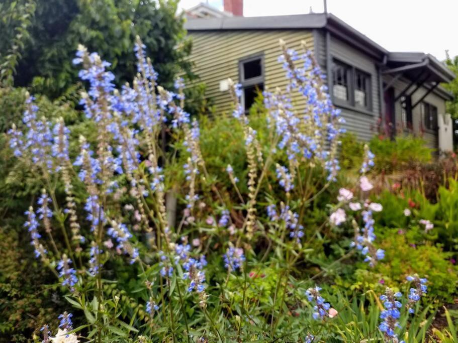 Apartment Tranquil Garden - South