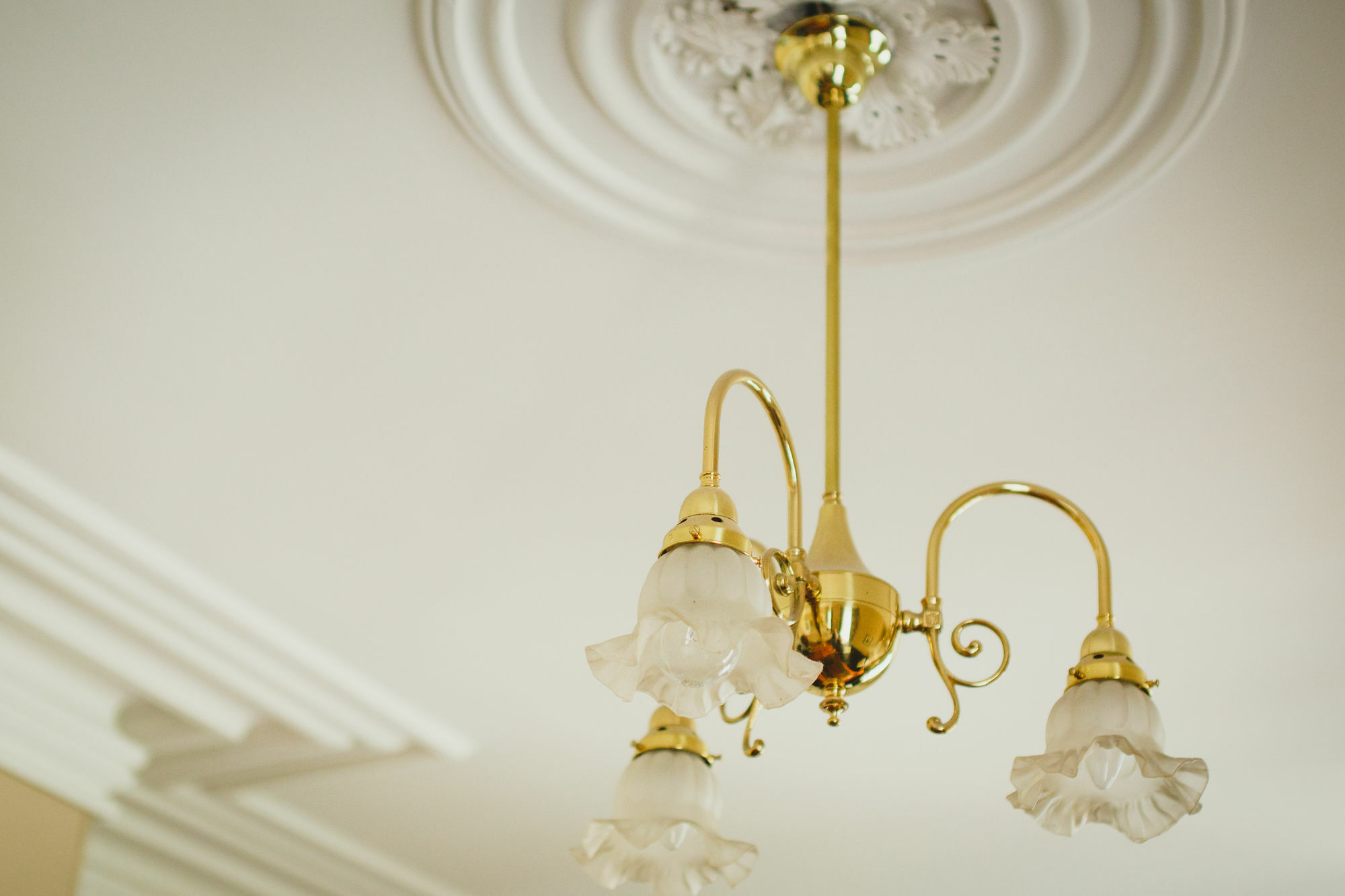 Grand Old Duke 4* Hobart